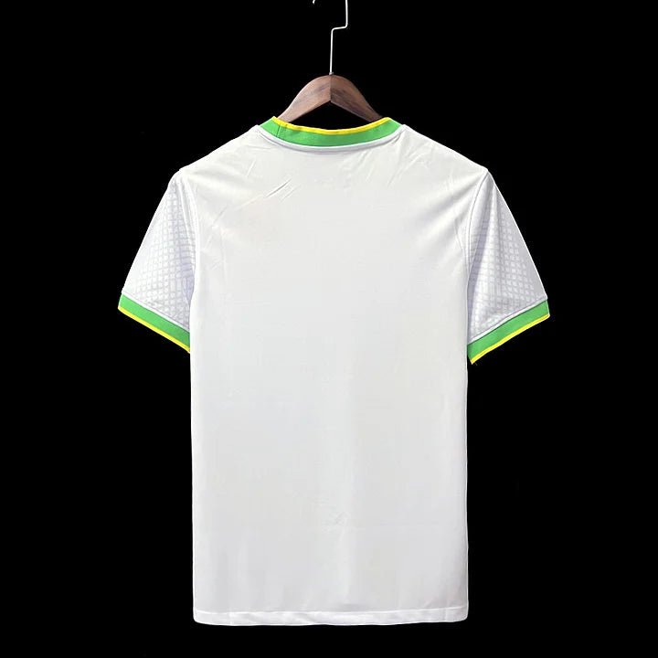 Brazil Concept Jersey 2024/2025