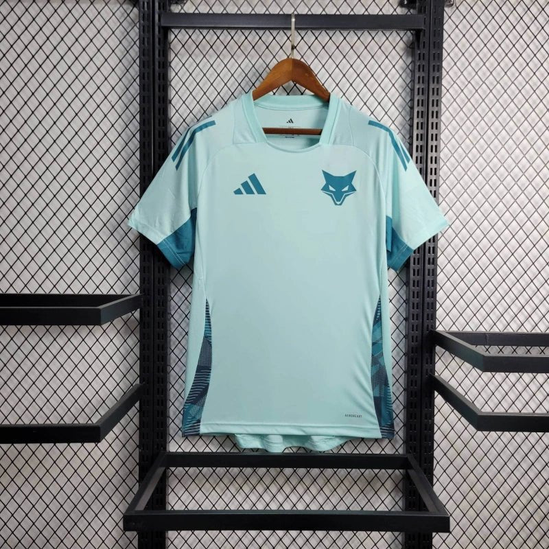 Cruzeiro jersey